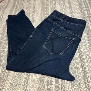 Lane Bryant jeans